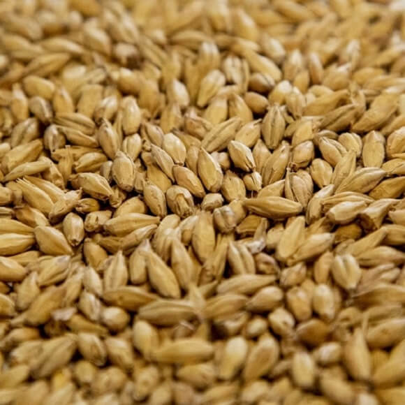 Dingemans: Pilsner Malt