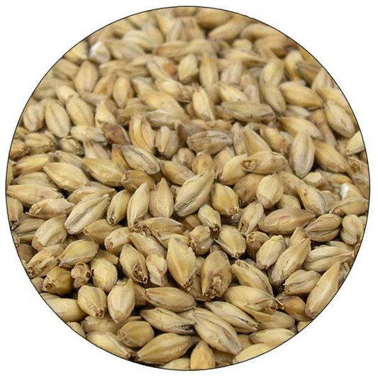 Root Shoot Malting: Vienna Malt