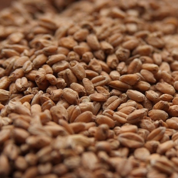 Rahr Malting Co®: Red Wheat