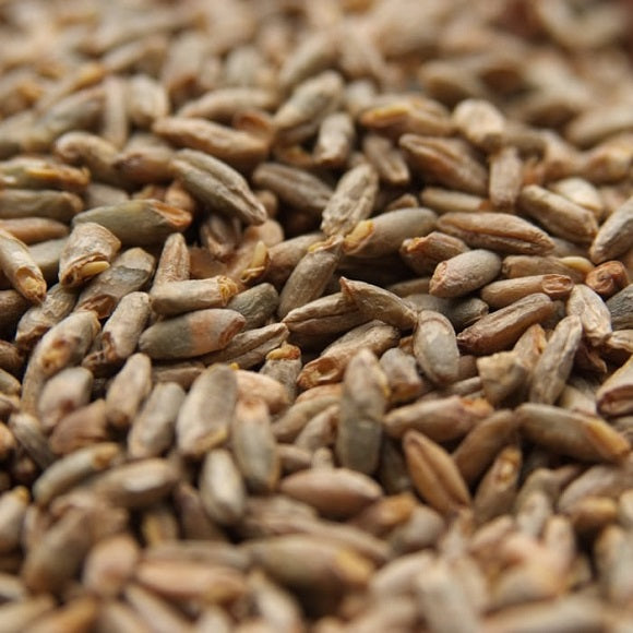 Wyermann® Pale Rye Malt