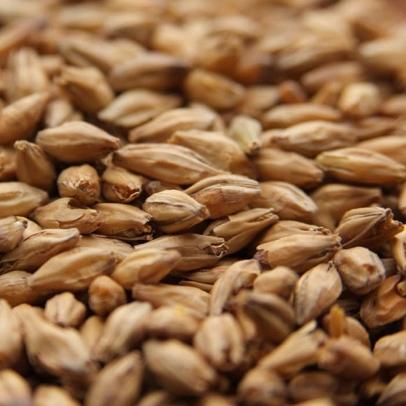 Weyermann® Beech Smoked Barley Malt