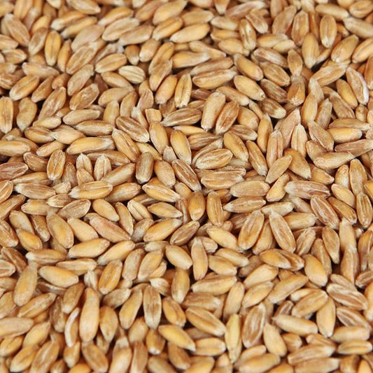 Weyermann® Spelt Malt