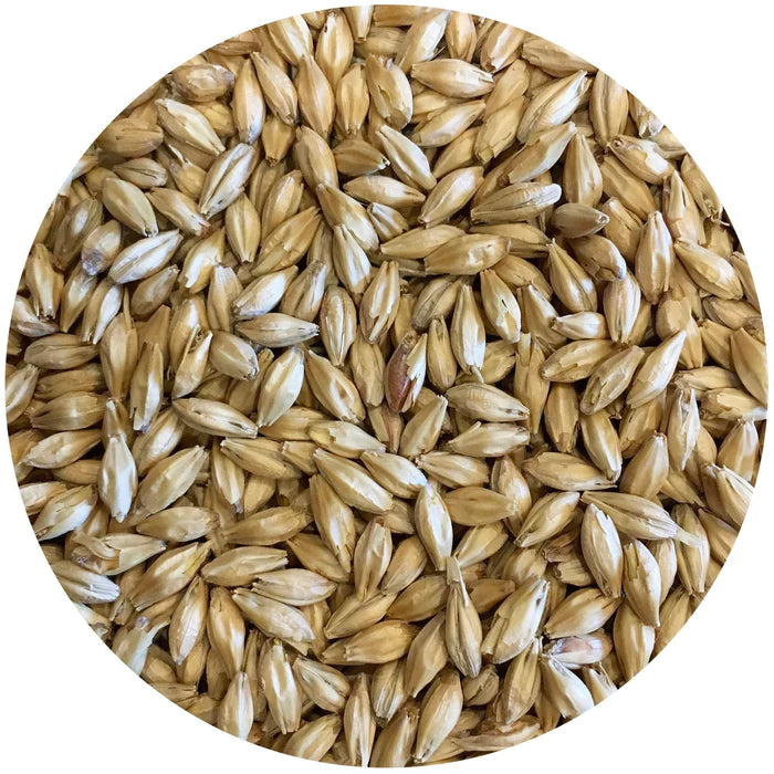 Root Shoot Malting: English Pale Malt