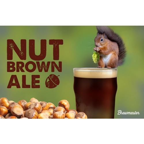 Brewmaster Extract Beer Brewing Ingredient Kit: Nut Brown Ale