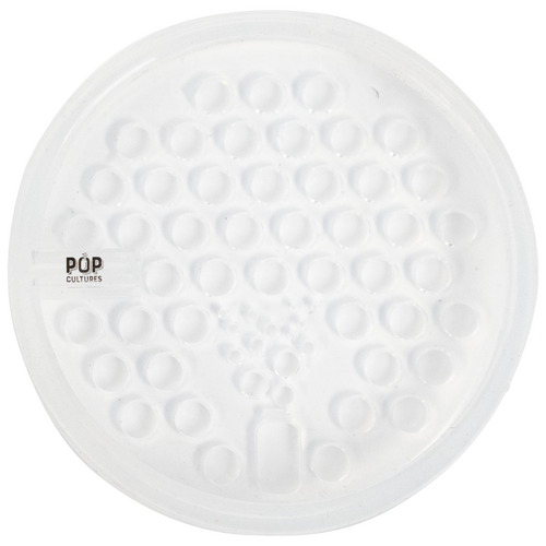 Pop Cultures: Food Fermentation Screen