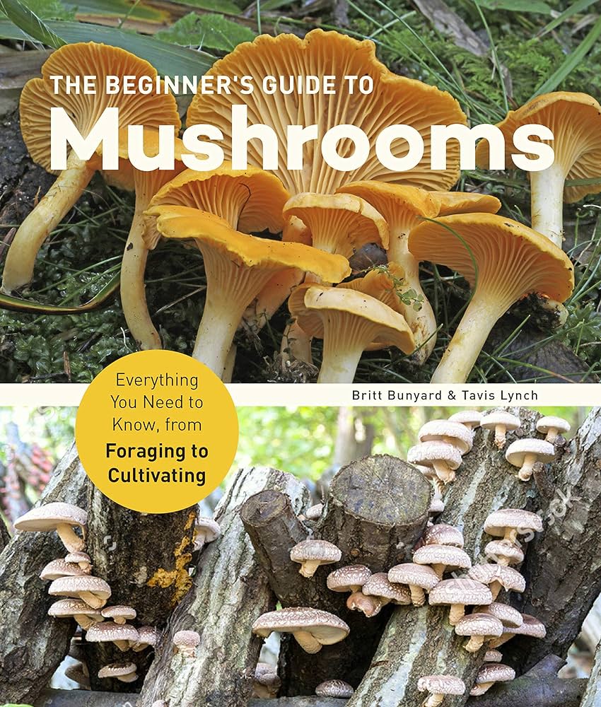 Beginner's Guide to Mushrooms