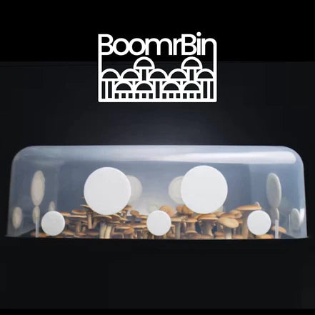 Boomr Bin Mushroom Monotub Kit