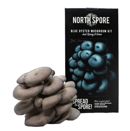 North Spore Organic 'Spray & Grow' Mushroom Kits: Blue Oyster