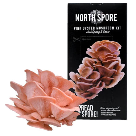 North Spore Organic 'Spray & Grow' Mushroom Kits: Pink Oyster