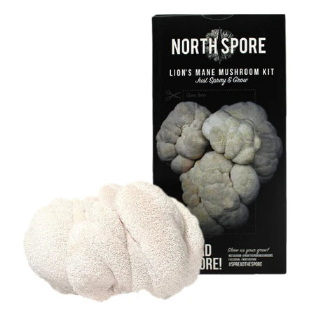 North Spore Organic 'Spray & Grow' Mushroom Kits: Lions Mane