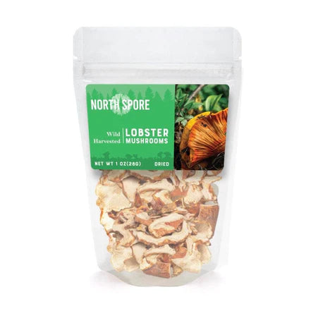 North Spore Dried Wild Mushrooms: Lobster (1 oz.)