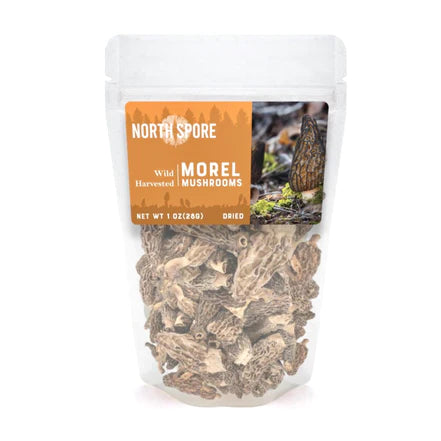 North Spore Dried Wild Mushrooms: Morel (1 oz.)